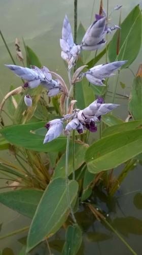 5a045a4f-f079-4c38-a63c-9a85e7fca34f