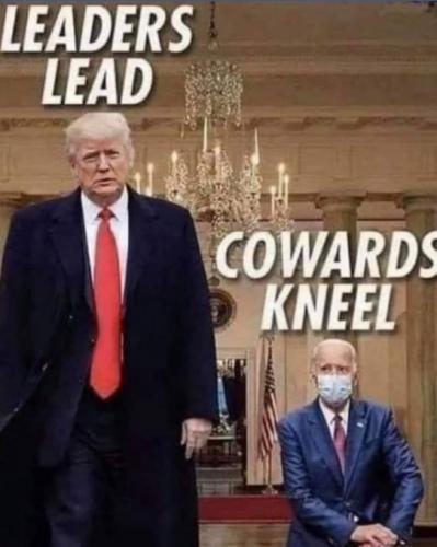 R Leaders
