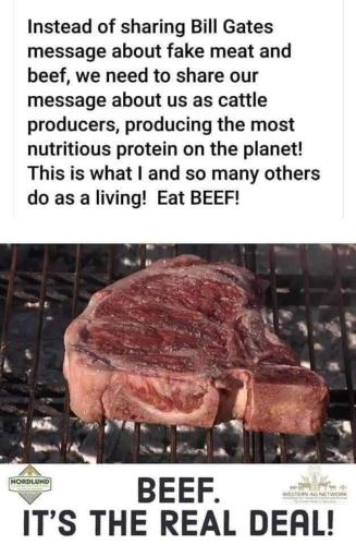 Beef farmers