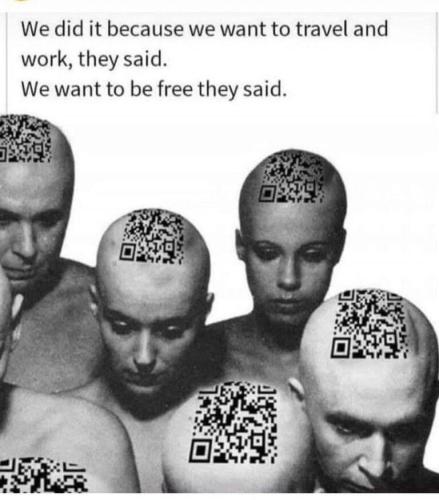 556e5cccd3a84ef5d76a43963aececc0_500x0