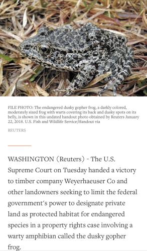 AF2EA1B6-0C50-4F41-9763-FF2DBF7EB120