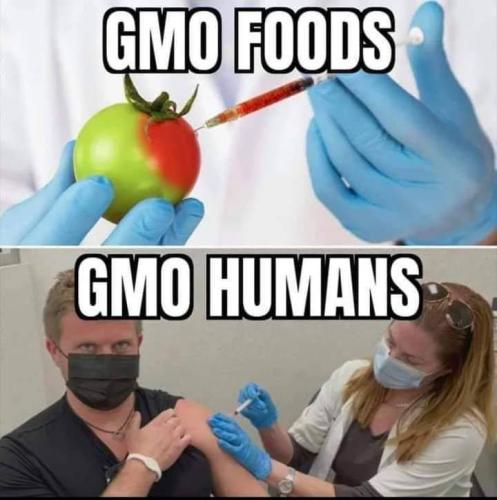 photo_2021-08-01_22-09-29