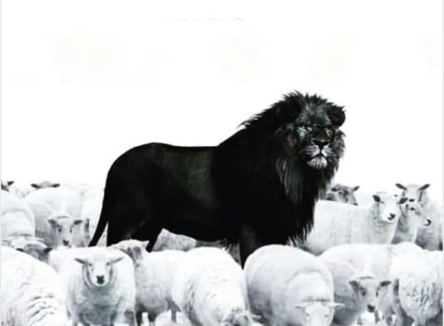 Screenshot_20211015-111330