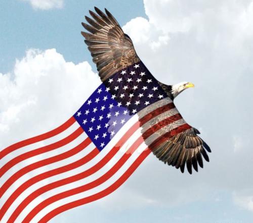 bfec375ad648281fb1ed6ad903855dfc_1024