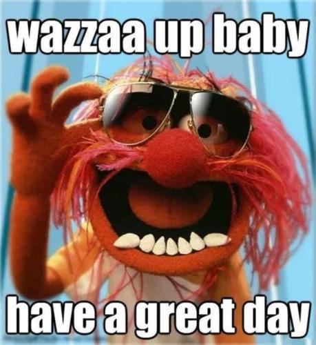 58-Good-Morning-Memes-and-Good-Morning-Quotes-With-Images-41
