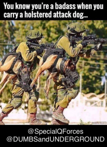 Screenshot_20211013-193231