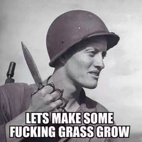 FUCKING GRASS