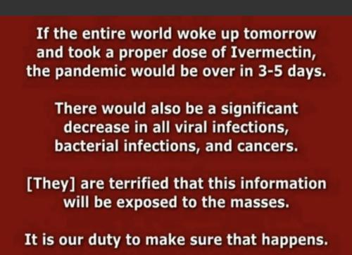 312FCDBE-6013-49C6-8019-CF023DC74E6A