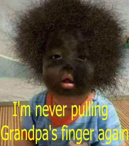 505301789520363168231297139547839510835861913695n