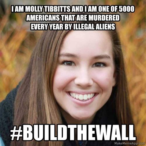 Illegals245
