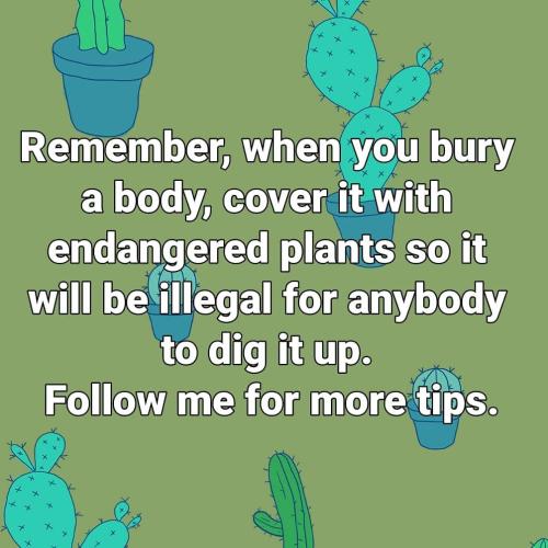 121587721_10157172763926673_8954869414194603773_o