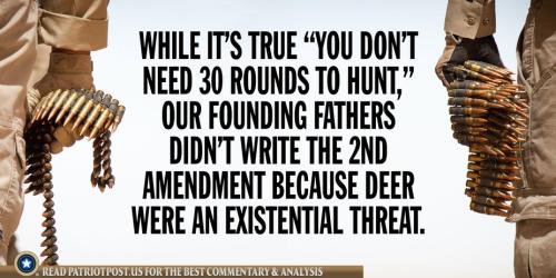 30 rounds to hunt