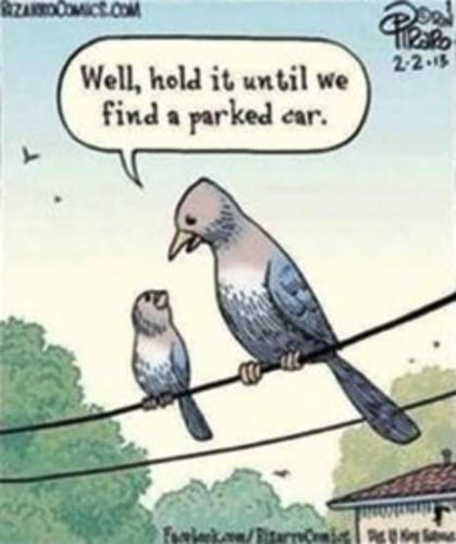 FB_IMG_1634674870640