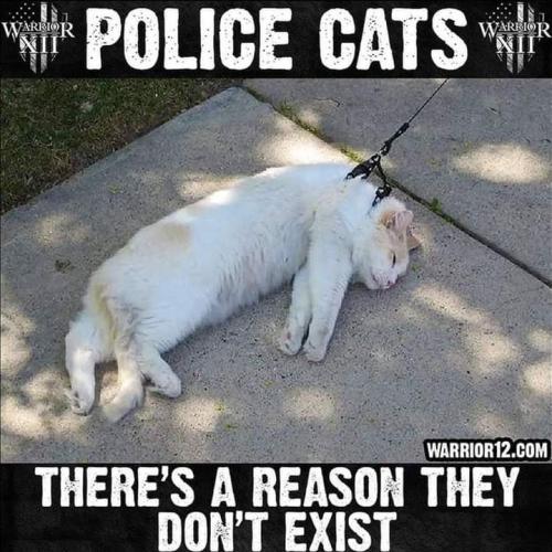 FB_IMG_1634668116468