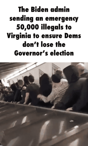 d2b5ca33bd970f64a6301fa75ae2eb22_500x0