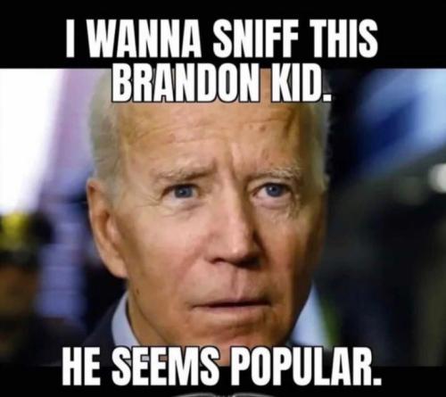 4b396fa01befca8df2298791d232c796_500x0