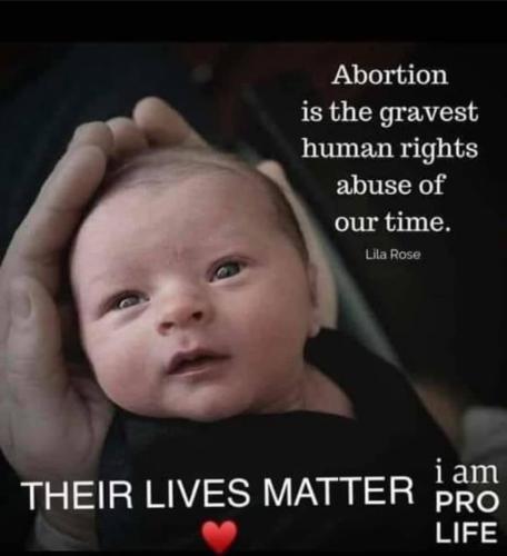 image_1634626259.459