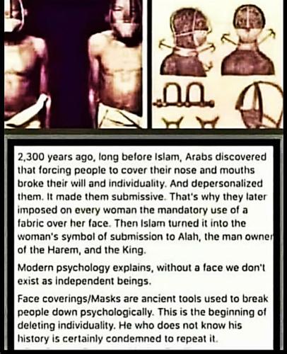 image_1635426264.066