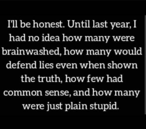 245700290_10158603151961733_3242520809944087596_n