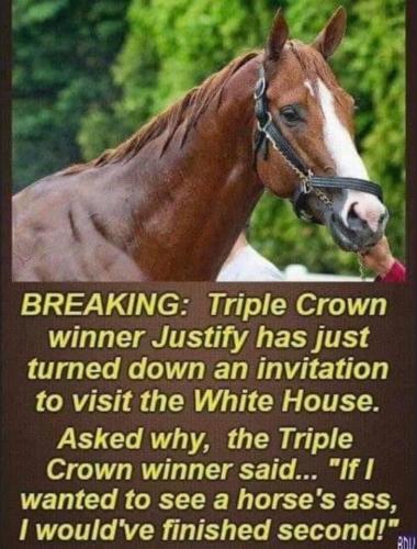 horsesass