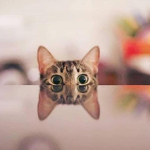 67809007_2483711475194643_6732829293425983488_n