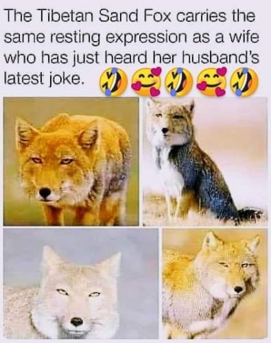 FB_IMG_1633228783906