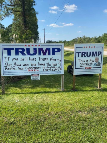 if you still hate trump