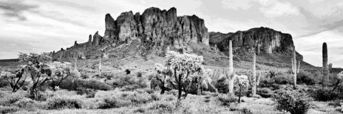 DesertScene_header