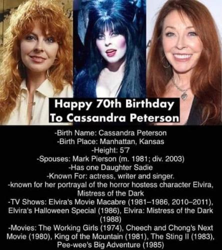 casandra-peterson