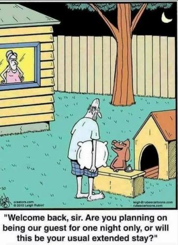 Screenshot_20210409-152034_Imgur