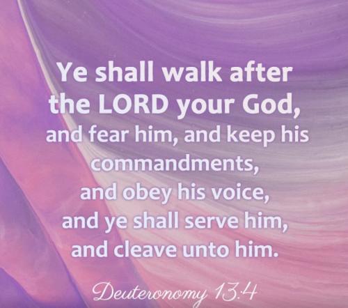 Deuteronomy 13:4