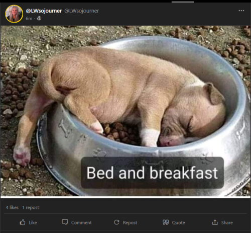 Bed and Breakfast