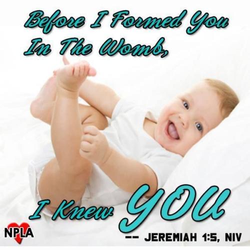 aLi1dvPEym63axE9t1Dd_05_6589260ac8895883761b2e47147fc0fc_image