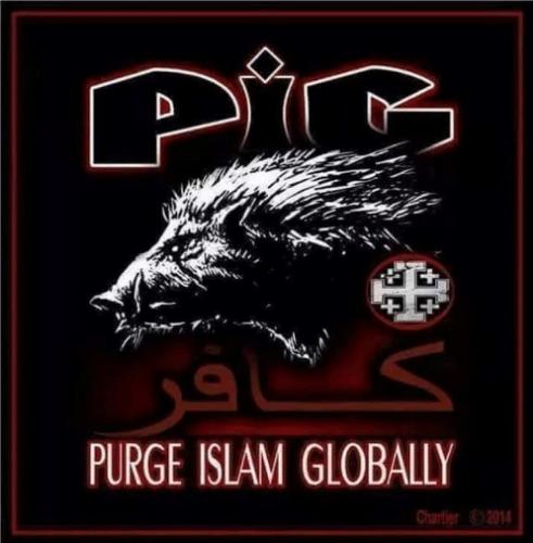PIG (2)