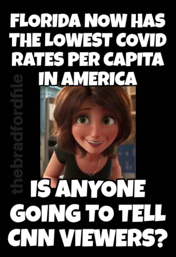 cnn viewers