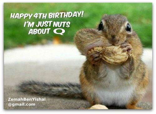 Nuts about Q 1550x1130