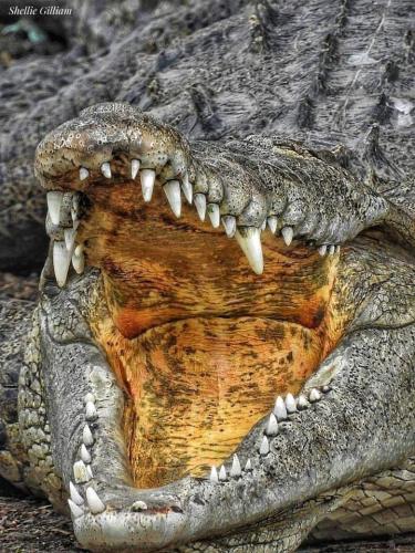 54B1A1AD-4C99-4AA4-B67B-378AF2F6D2E8