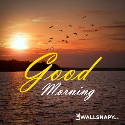good-morning-sun-rise-wallpapers-1122298