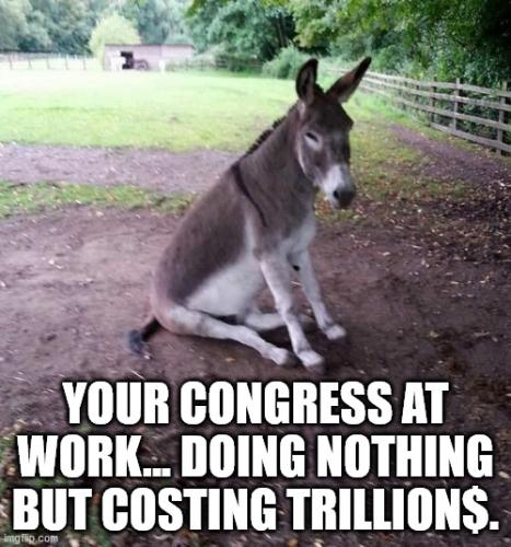 congress-at-work