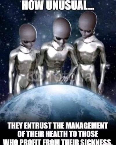 248722625_629785021516105_309072250586298472_n