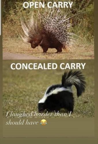 648F9928-DE11-461D-80FA-296EB7318CC6