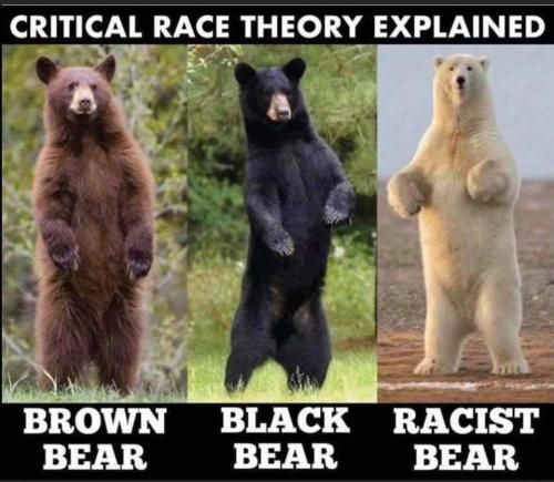 4c407fa0-0b54-4d77-bd83-7d1f17b14c98