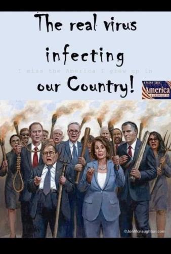 image_1635373031.296