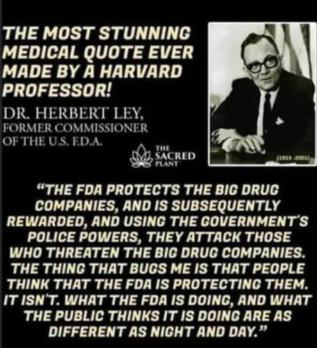 908DCA1C-56C7-40FD-9DFE-6131C71B675B