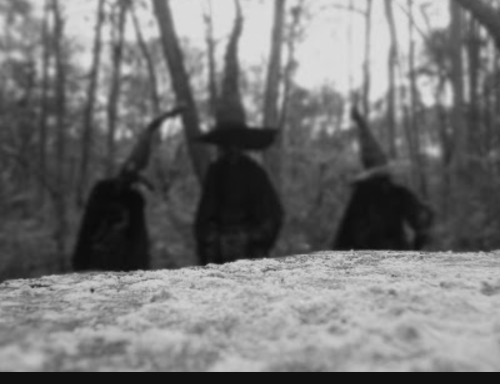 Screenshot_20211009-173649