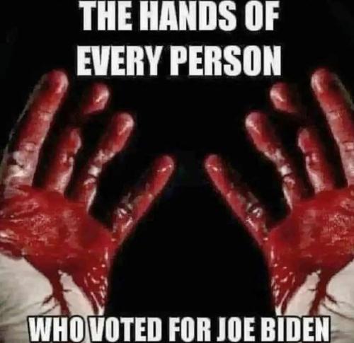 2df29d7f467bec0f645b903fc619e9d1_500x0