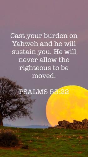 B2EDE5D5-7DBF-4472-9EF8-B0235F8593AF