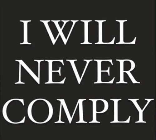 dedb2c1e9a9e45a14ebfe042860e7fd6_1024