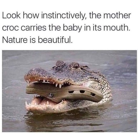 image023
