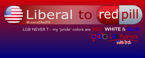 #Liberal To Red Pill-BANNER-RIGHT ONLY